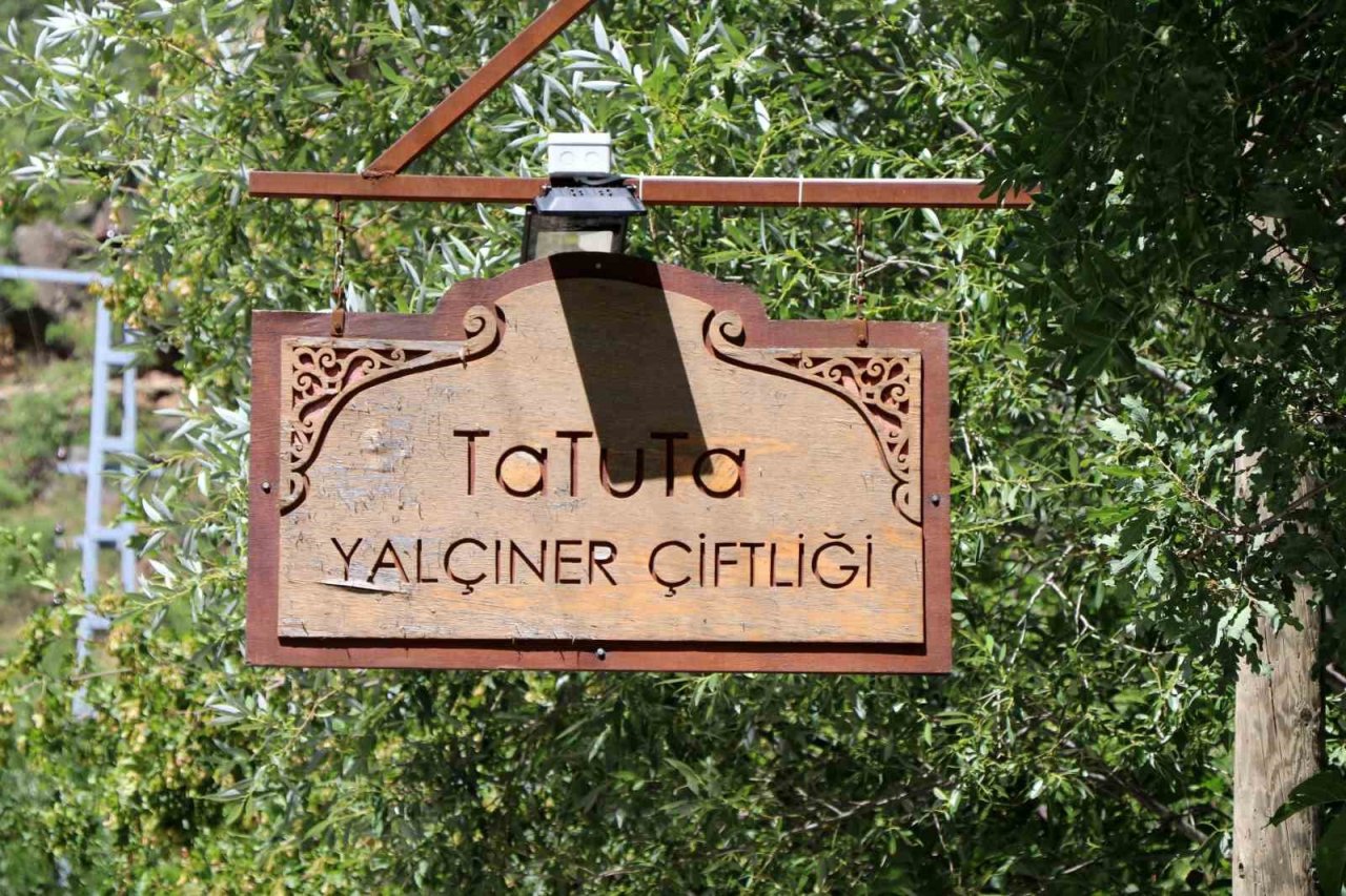 Çiftlikte çalışarak tatil