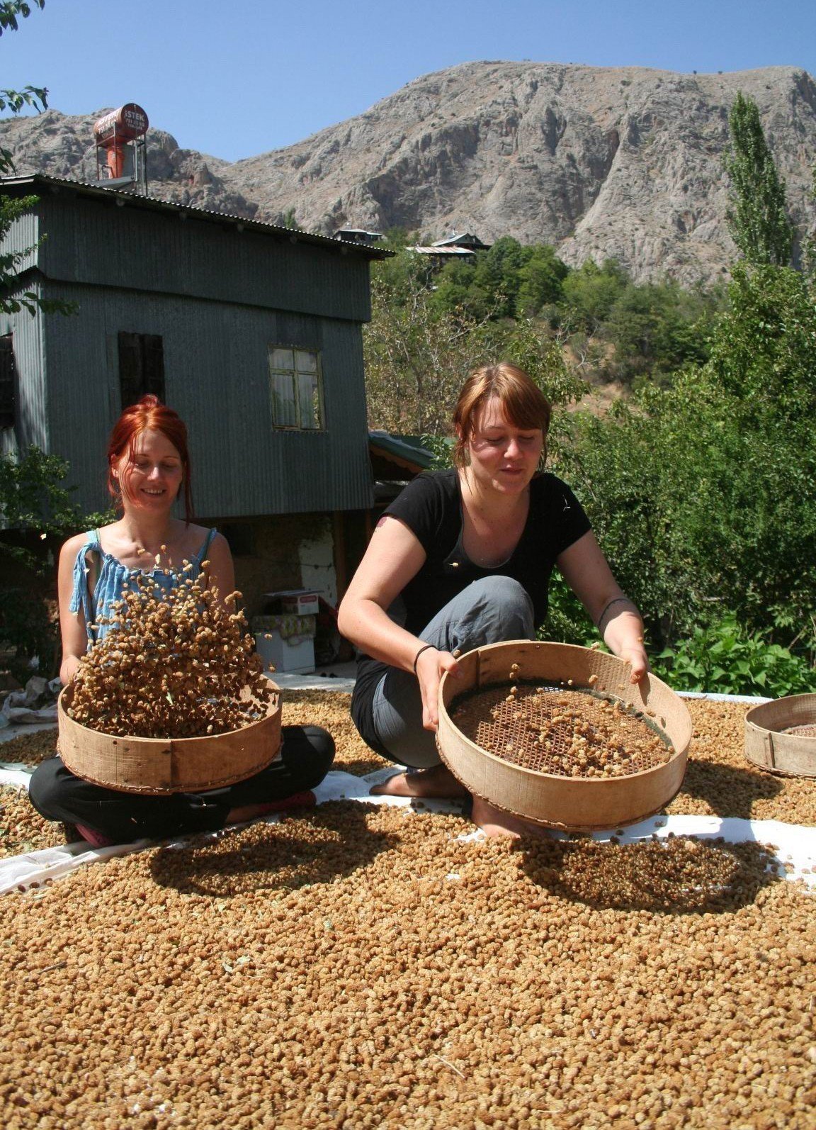 Çiftlikte çalışarak tatil