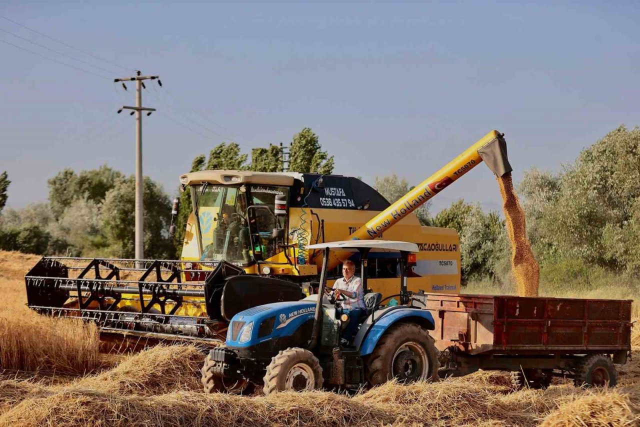 Başkan Zolan, biçerdöverle buğday hasadı başladı