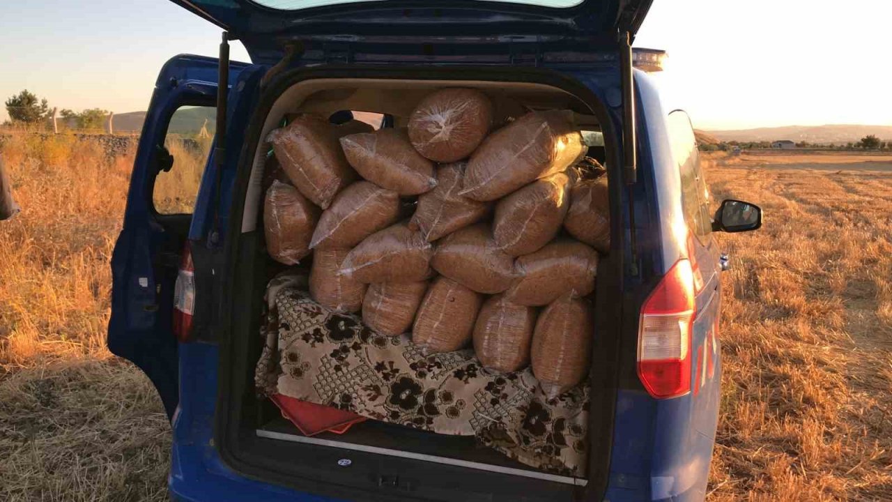 Hafif ticari araca tren çaptı: Yaralı sürücü canının yerine taşıdığı kaçak tütünü saklamanın derdine düştü