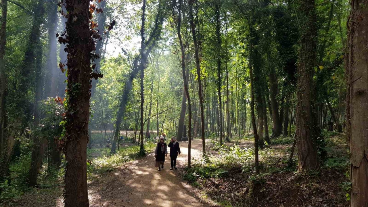 Başiskele’nin yeşil alanları "nefes" oldu