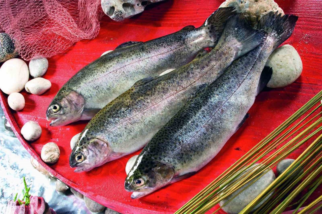 Su ürünleri ihracatında Muğla zirvede