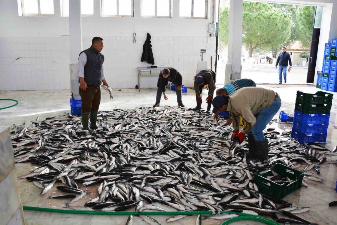 Su ürünleri ihracatında Muğla zirvede