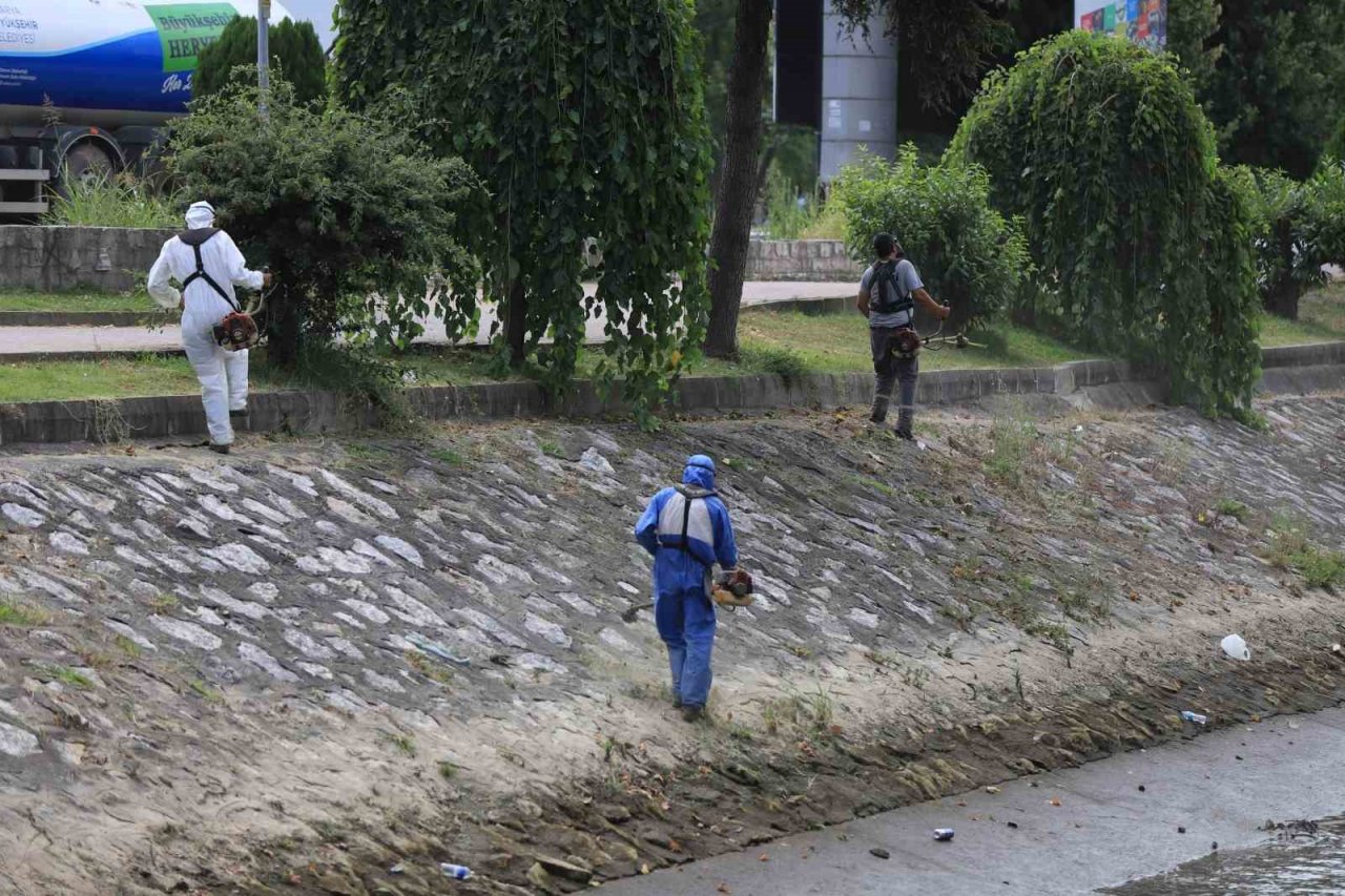 Çark Deresi etrafı temizlendi