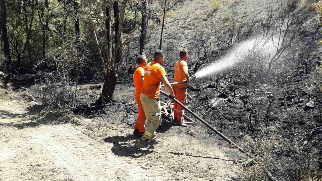 Taraklı’da çıkan orman yangınında soğutma çalışması sürüyor