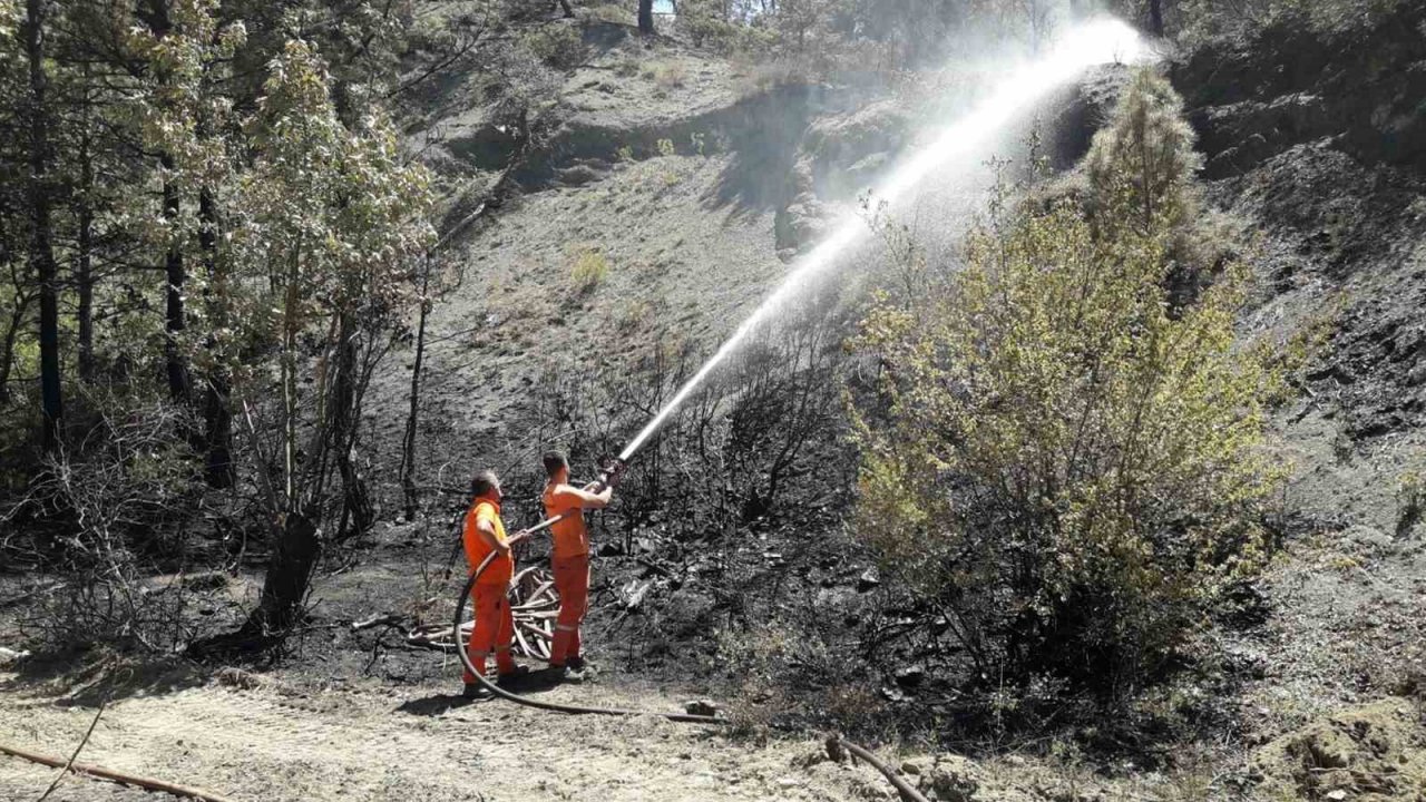 Taraklı’da çıkan orman yangınında soğutma çalışması sürüyor