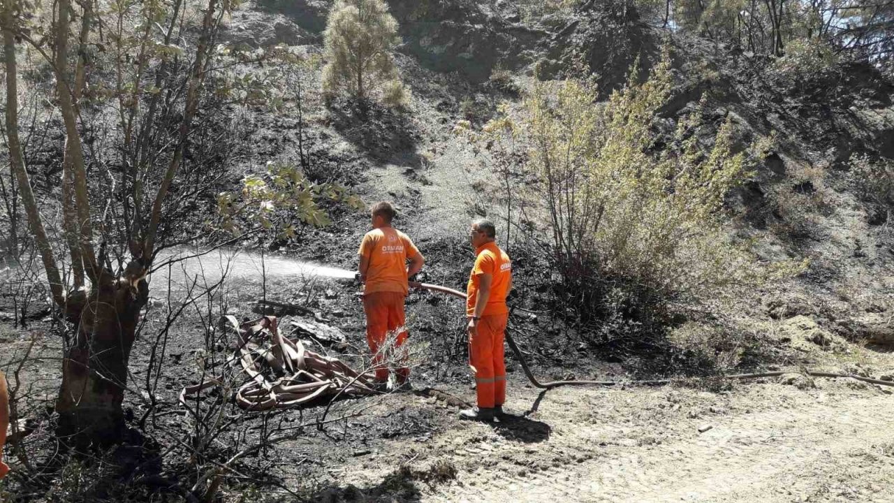 Taraklı’da çıkan orman yangınında soğutma çalışması sürüyor