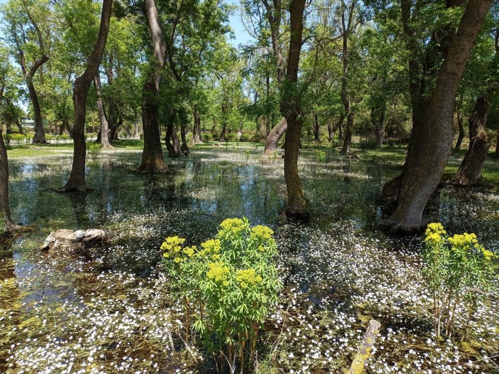 Samsun’da tabiat parklarına ziyaretçi akını