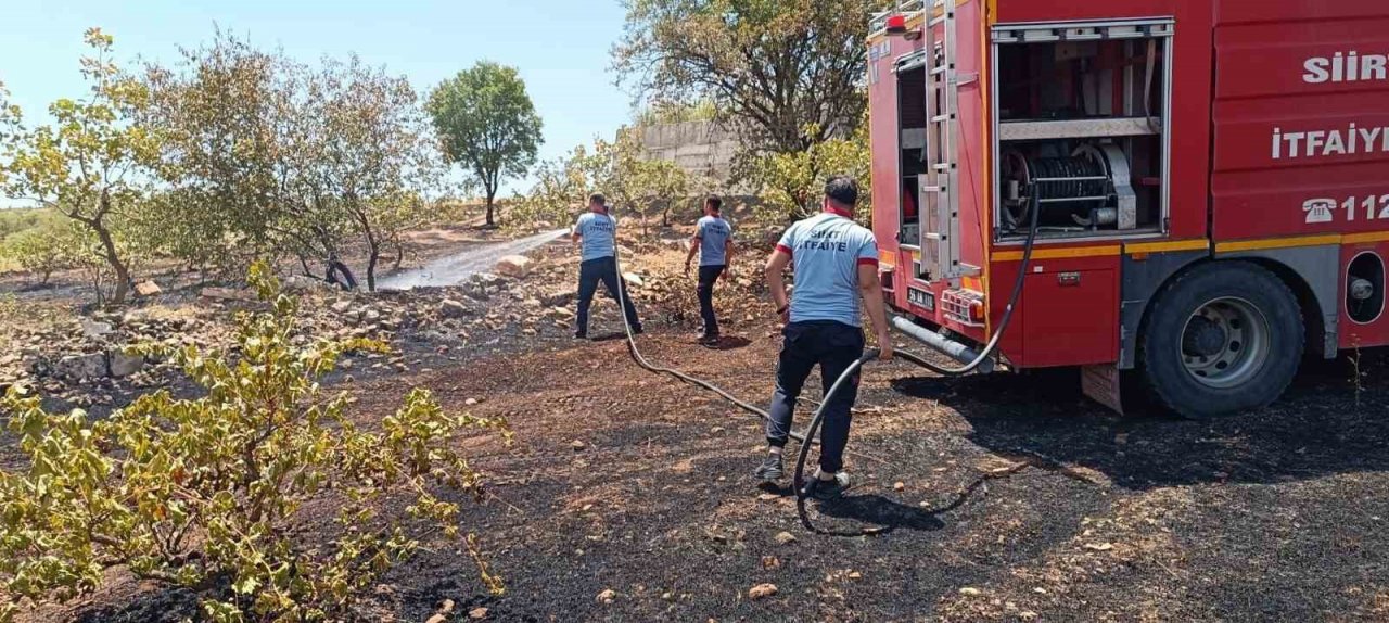 Siirt’te çiftçinin onca yıllık emeği küle döndü