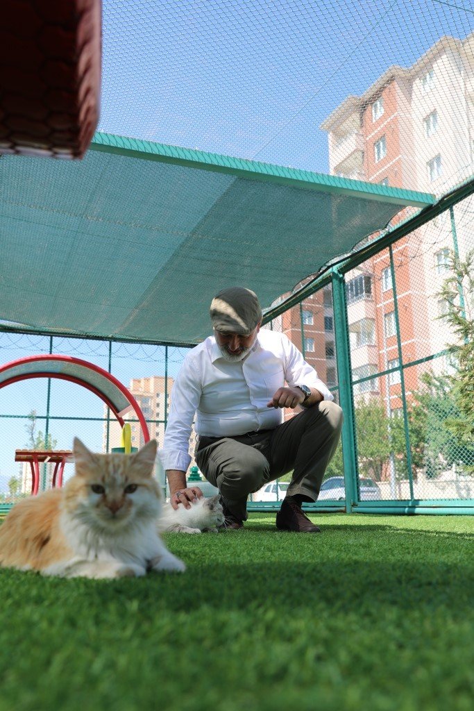 Kocasinan’dan sıcak bir yuva; ‘küçük dostlar kedi kasabası’