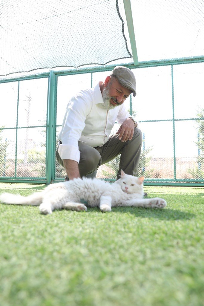 Kocasinan’dan sıcak bir yuva; ‘küçük dostlar kedi kasabası’
