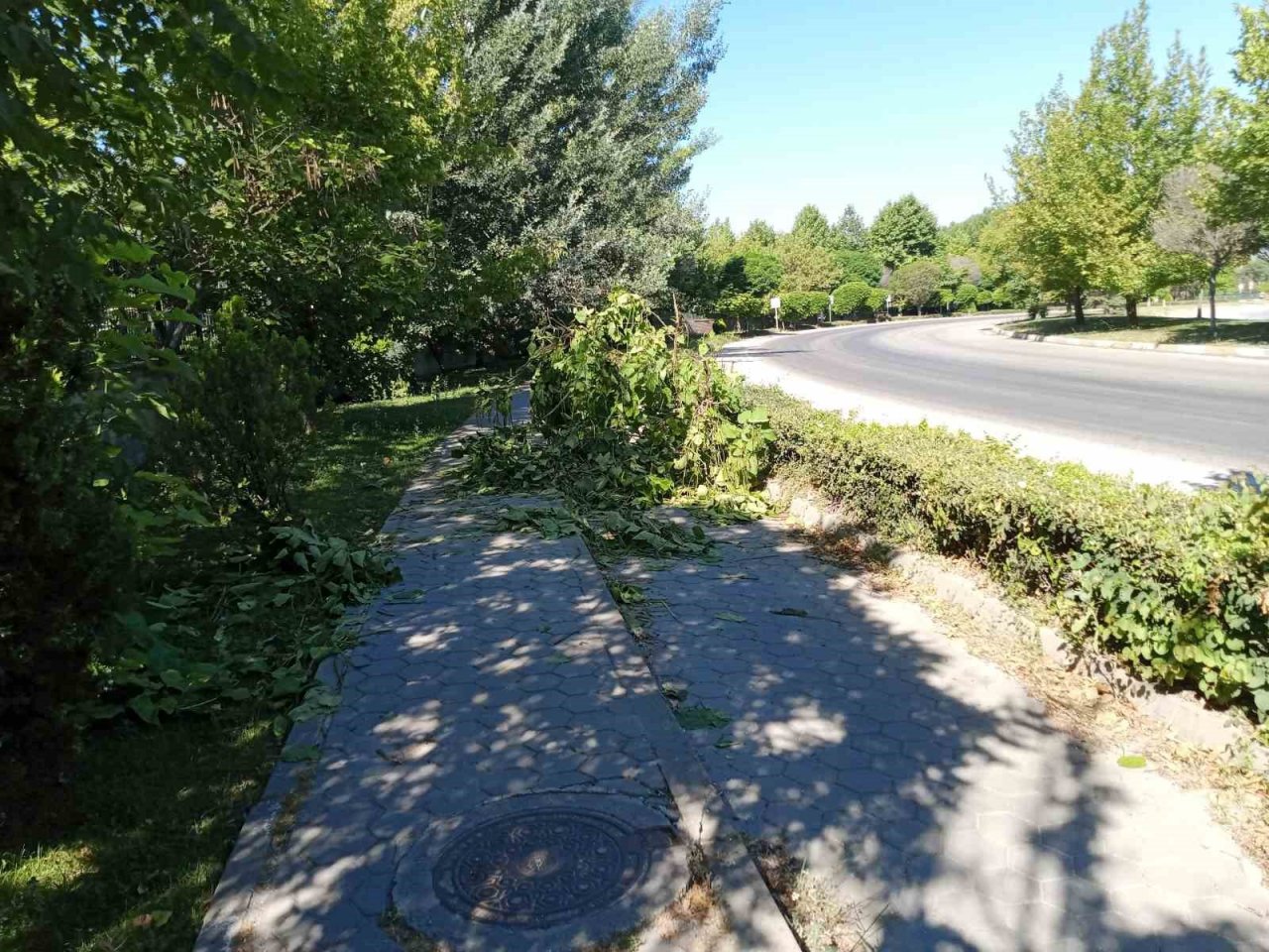 Devrilen ağaç yaya ve bisiklet geçişlerine engel oldu