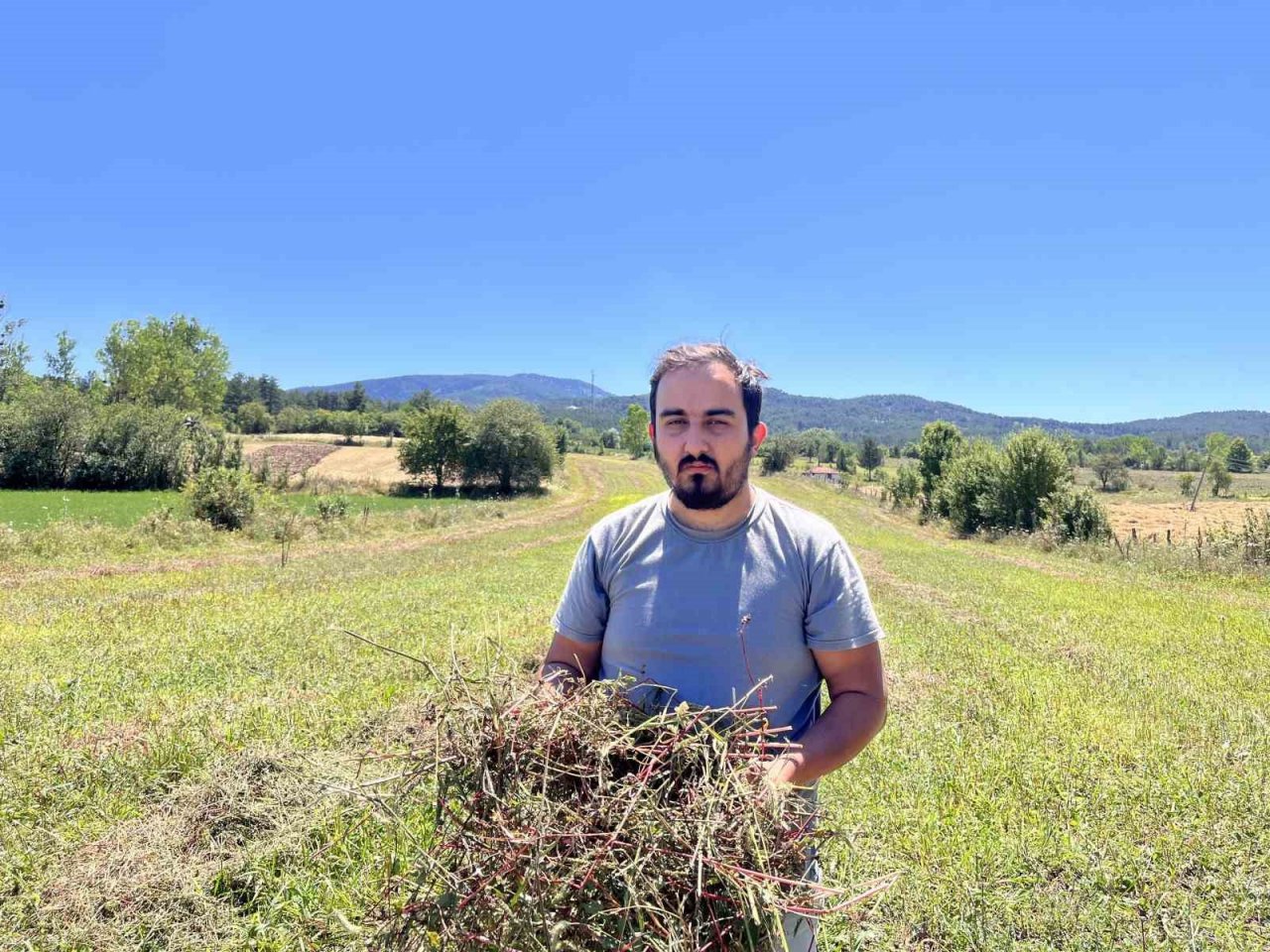 3 yıl önce deneme amacıyla ekilmişti: Çölyak hastalarının besin kaynağı karabuğdayda yüksek verim