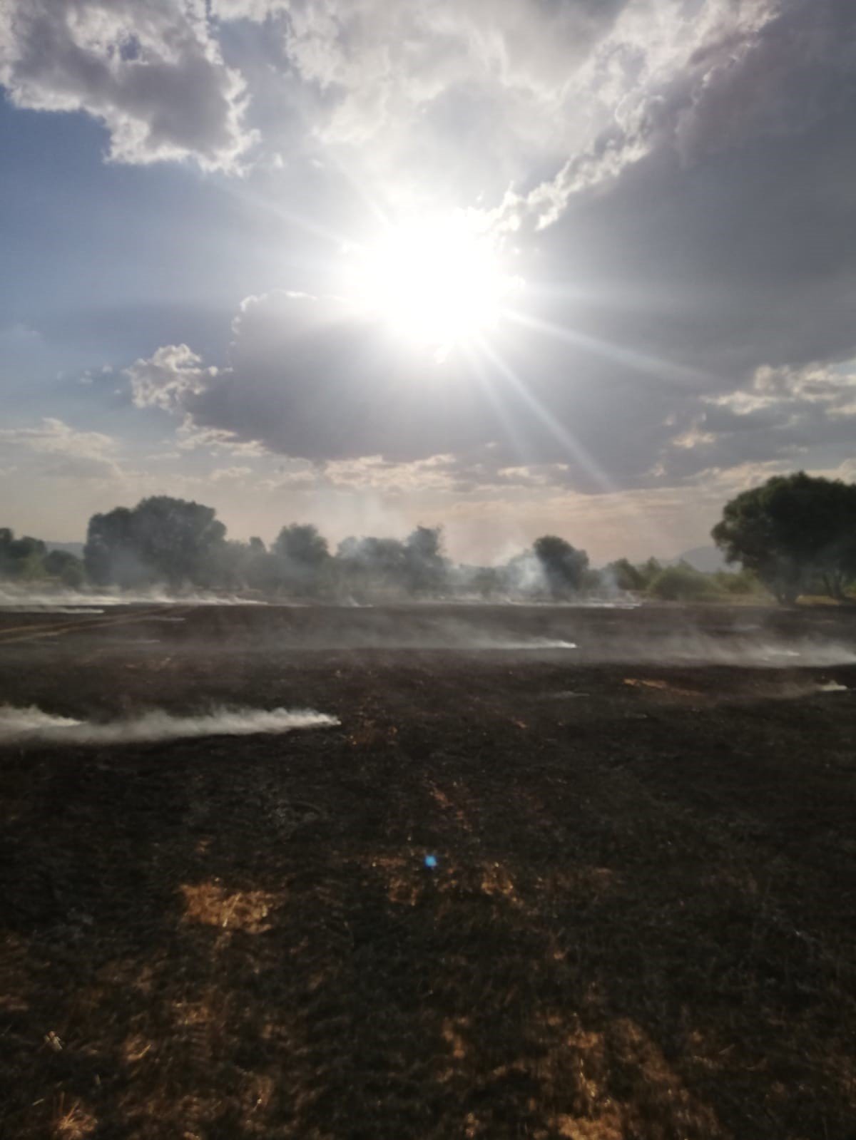 Ağrı’da tarla yangını