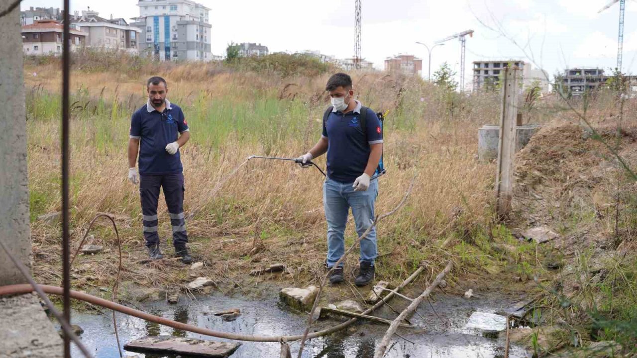 Başakşehir Belediyesi ilçede ilaçlama çalışmalarını sürdürüyor