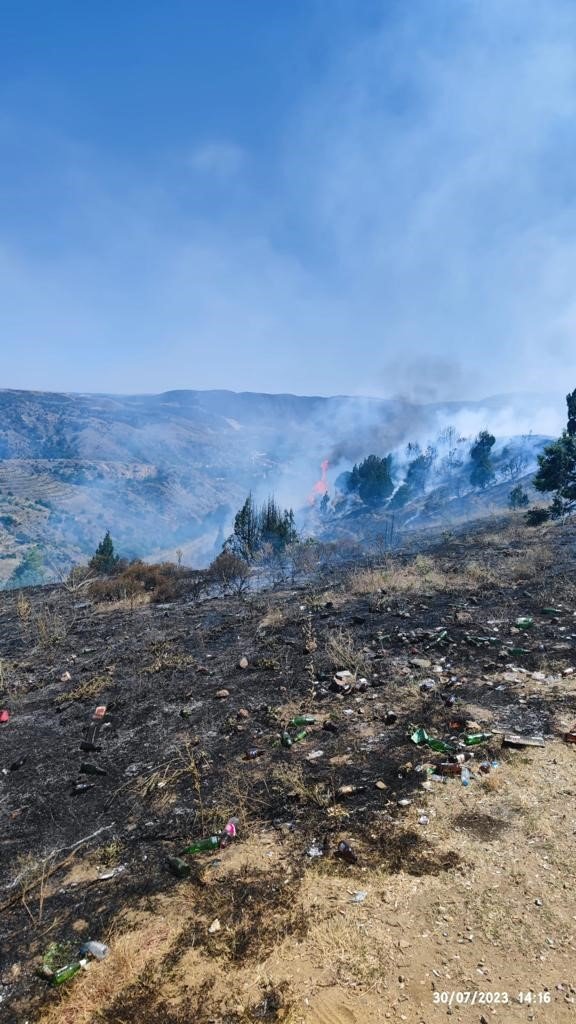 Bilecik’te çıkan orman yangını büyümeden söndürüldü