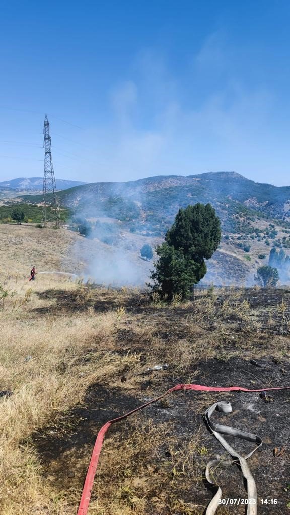 Bilecik’te çıkan orman yangını büyümeden söndürüldü