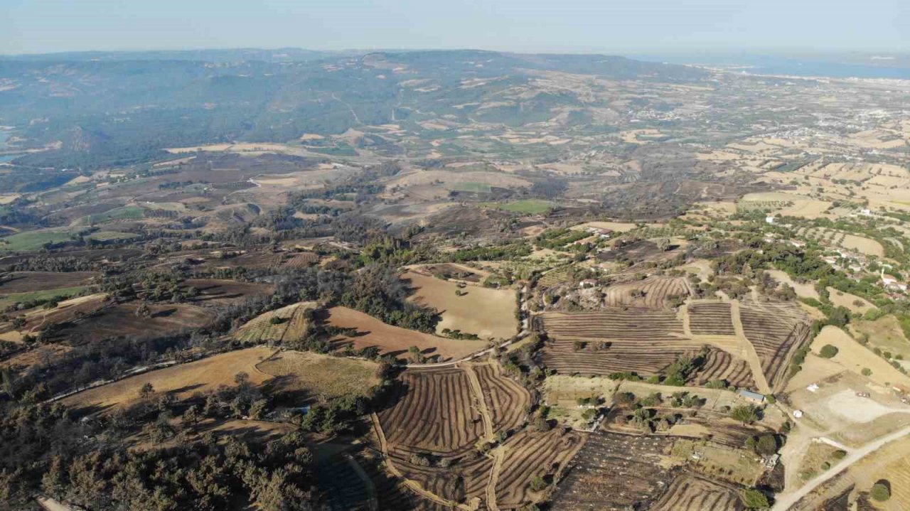 Çanakkale’deki orman yangınlarında 3 bin 500 futbol sahası büyüklüğünde alan yandı