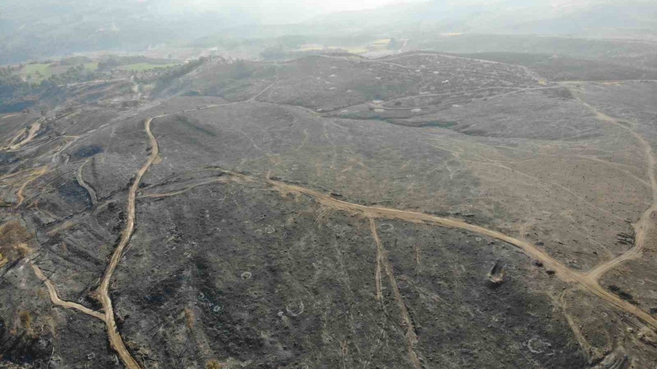 Çanakkale’deki orman yangınlarında 3 bin 500 futbol sahası büyüklüğünde alan yandı