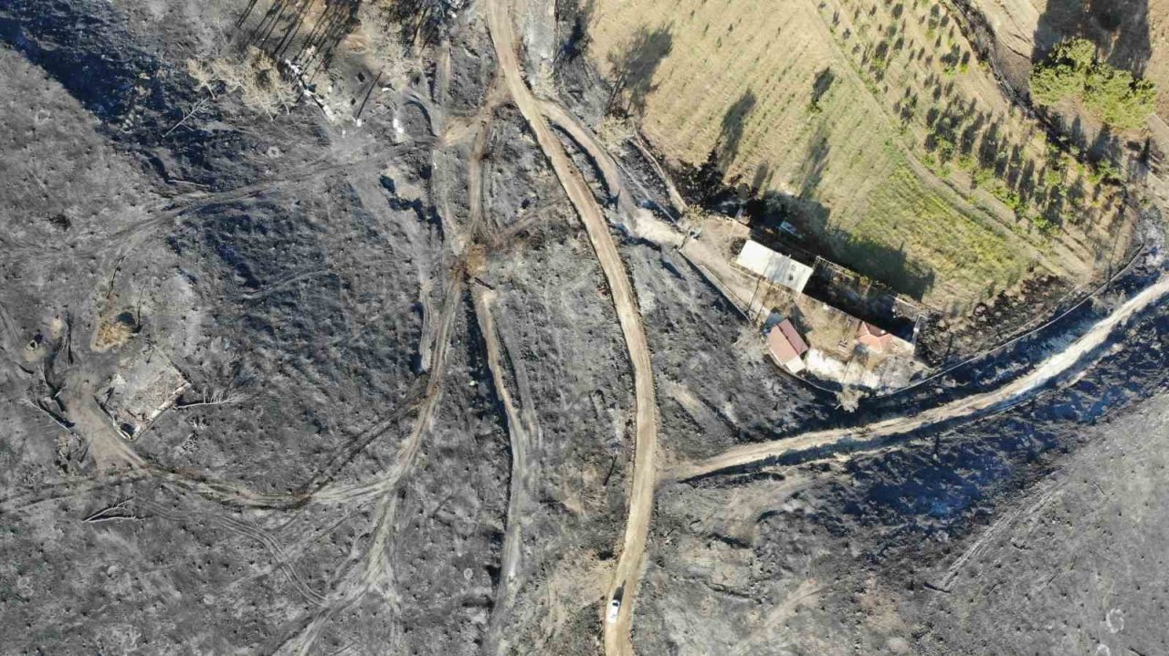 Çanakkale’deki orman yangınlarında 3 bin 500 futbol sahası büyüklüğünde alan yandı