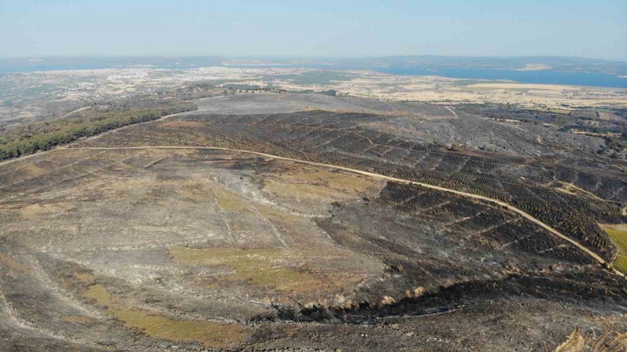 Çanakkale’deki orman yangınlarında 3 bin 500 futbol sahası büyüklüğünde alan yandı