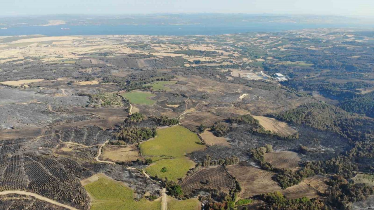 Çanakkale’deki orman yangınlarında 3 bin 500 futbol sahası büyüklüğünde alan yandı