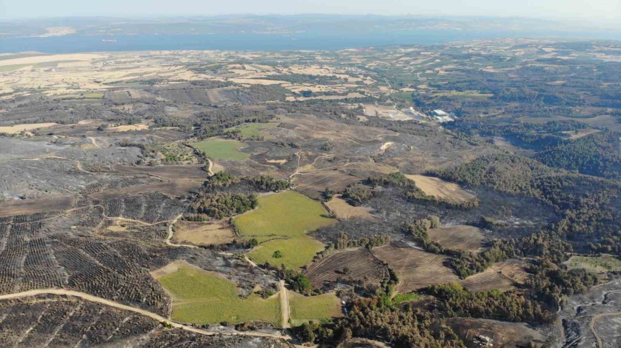 Çanakkale’deki orman yangınlarında 3 bin 500 futbol sahası büyüklüğünde alan yandı