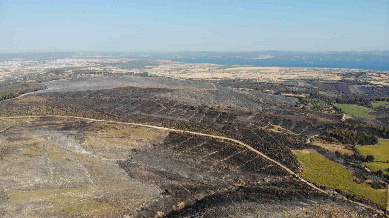 Çanakkale’deki orman yangınlarında 3 bin 500 futbol sahası büyüklüğünde alan yandı