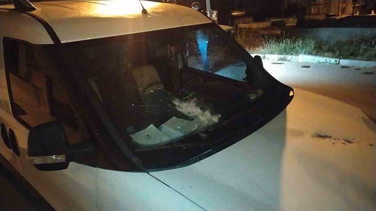 Park halindeki aracı kurşuna tuttular