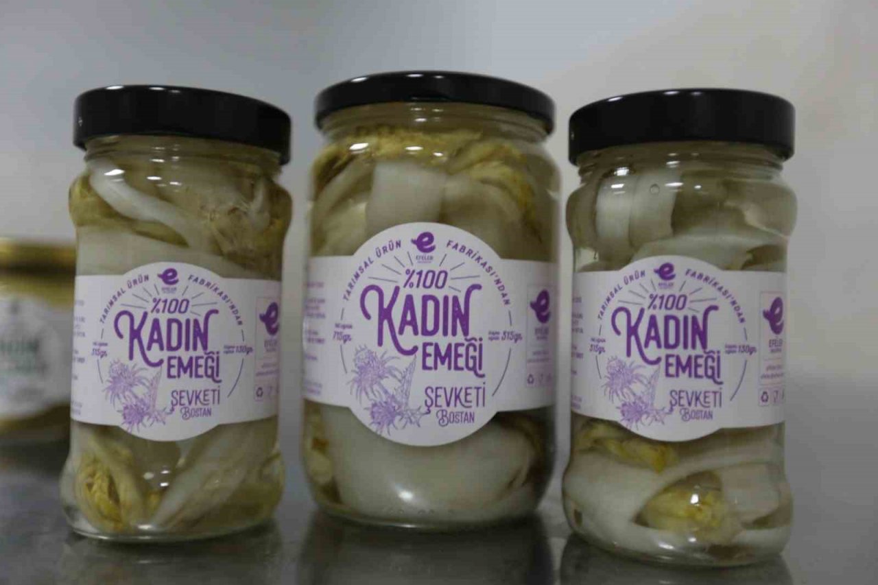 Yüzde Yüz Kadın Emeği Tarımsal Ürün Fabrikası Türkiye’ye örnek oluyor