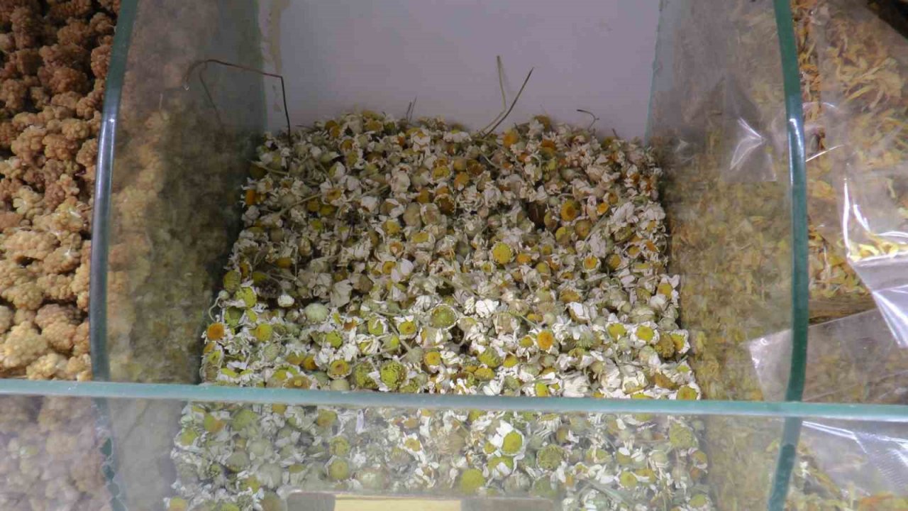 Terlemeye karşı bitkisel çözüm: Şeb taşı