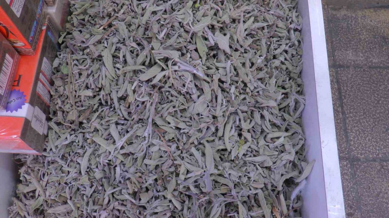 Terlemeye karşı bitkisel çözüm: Şeb taşı