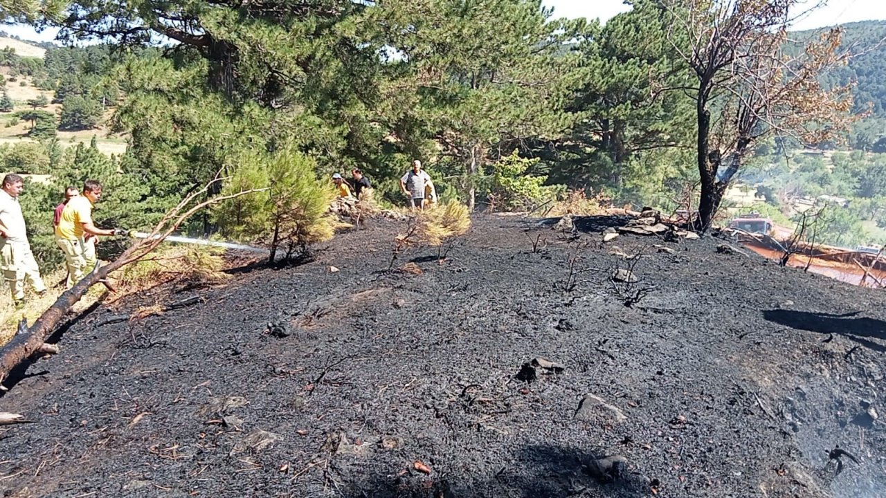 Kazdağları’ndaki örtü yangını ormana sıçramadan söndürüldü