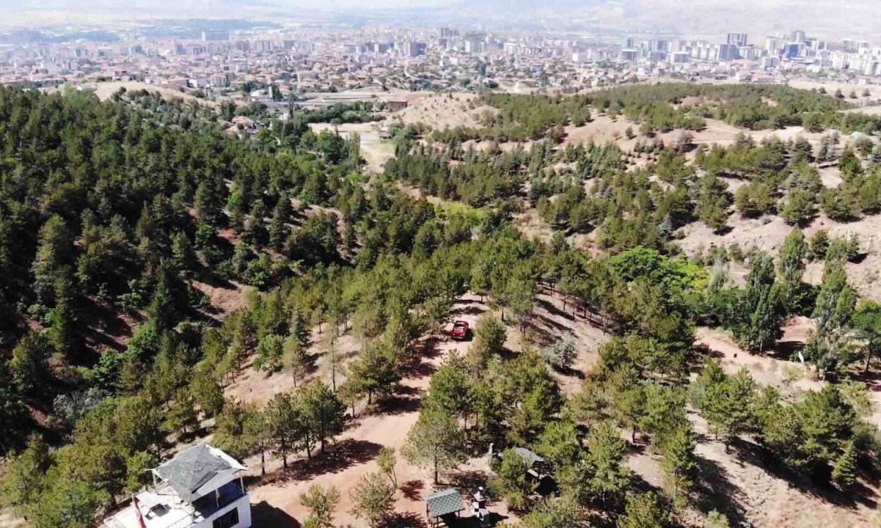 Keskin gözler yeşil doğanın üzerinde: Bin 760 rakımlı zirvede yangın nöbeti tutuyorlar