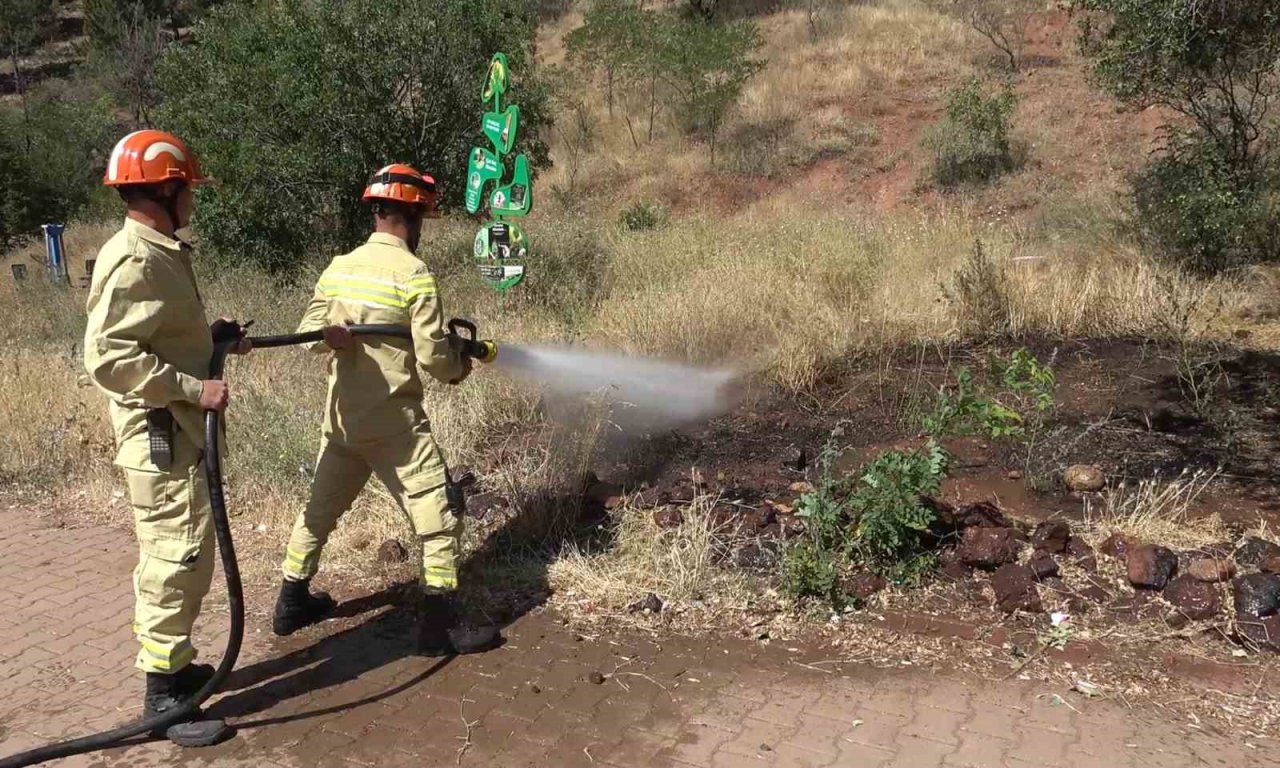 Keskin gözler yeşil doğanın üzerinde: Bin 760 rakımlı zirvede yangın nöbeti tutuyorlar