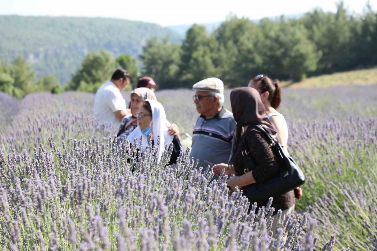 Muğla’nın ‘Mor’ bahçesine ziyaretçi akını