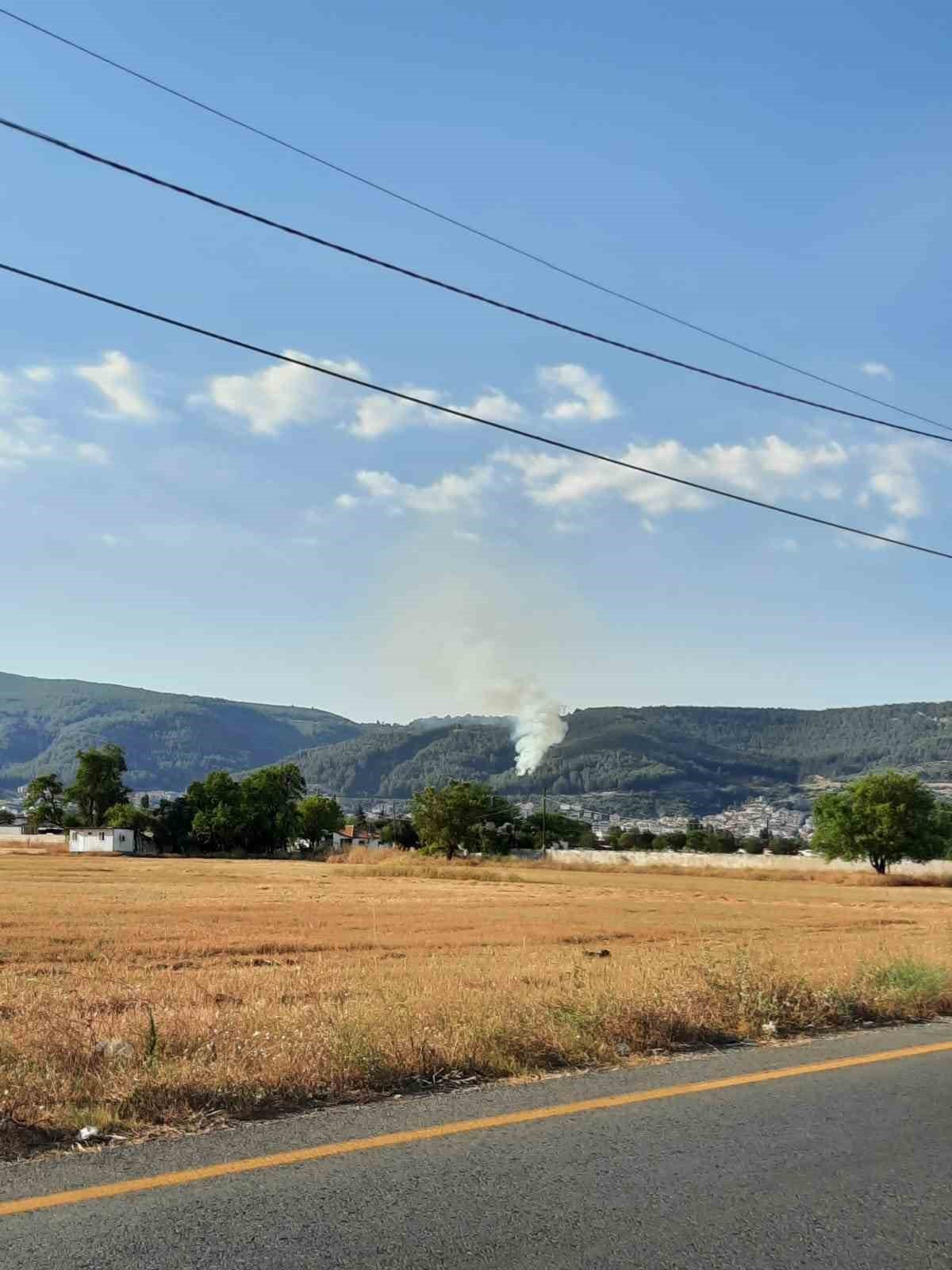 Muğla’da orman yangını