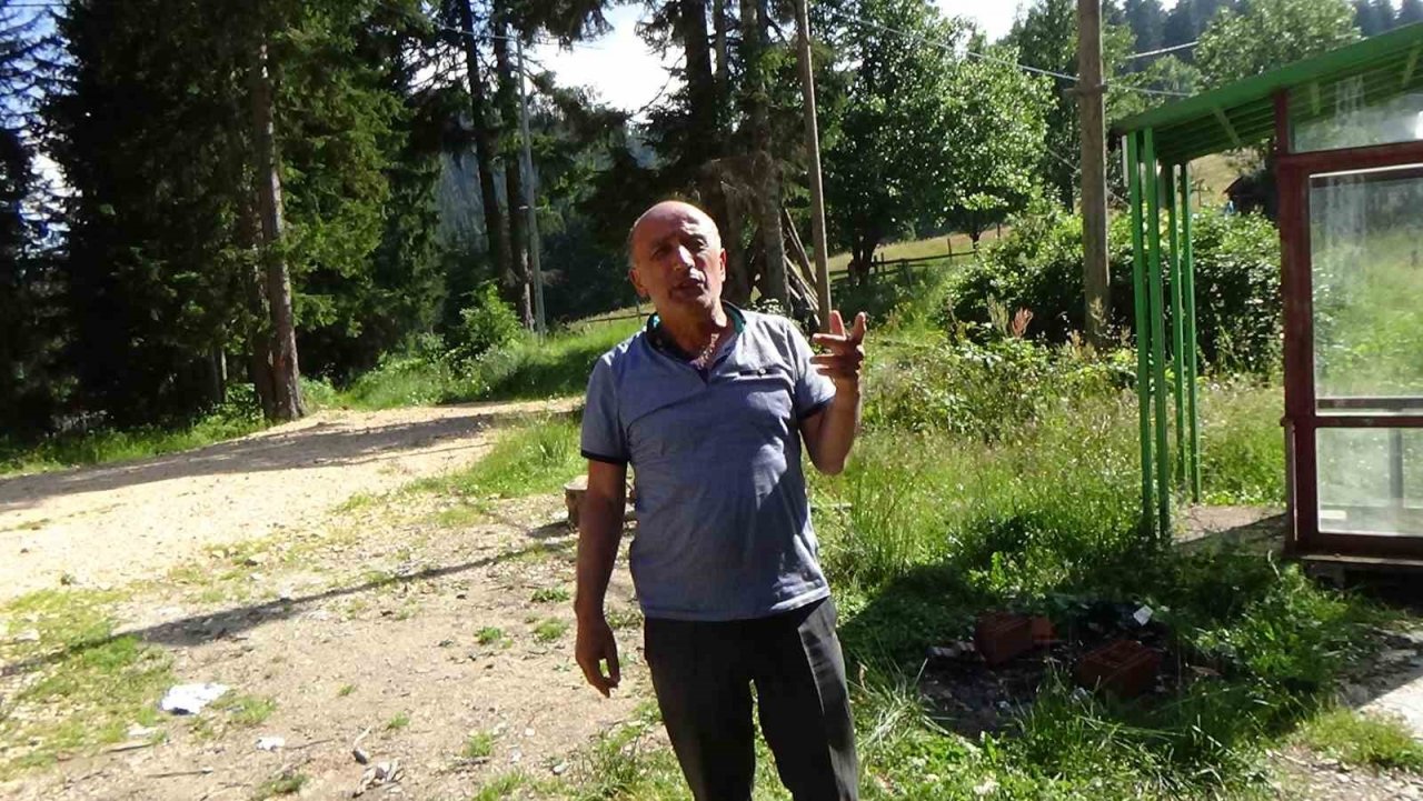 Ayı saldırılarından bıkan muhtar çareyi harekete duyarlı kamera sistemi kurmakta buldu