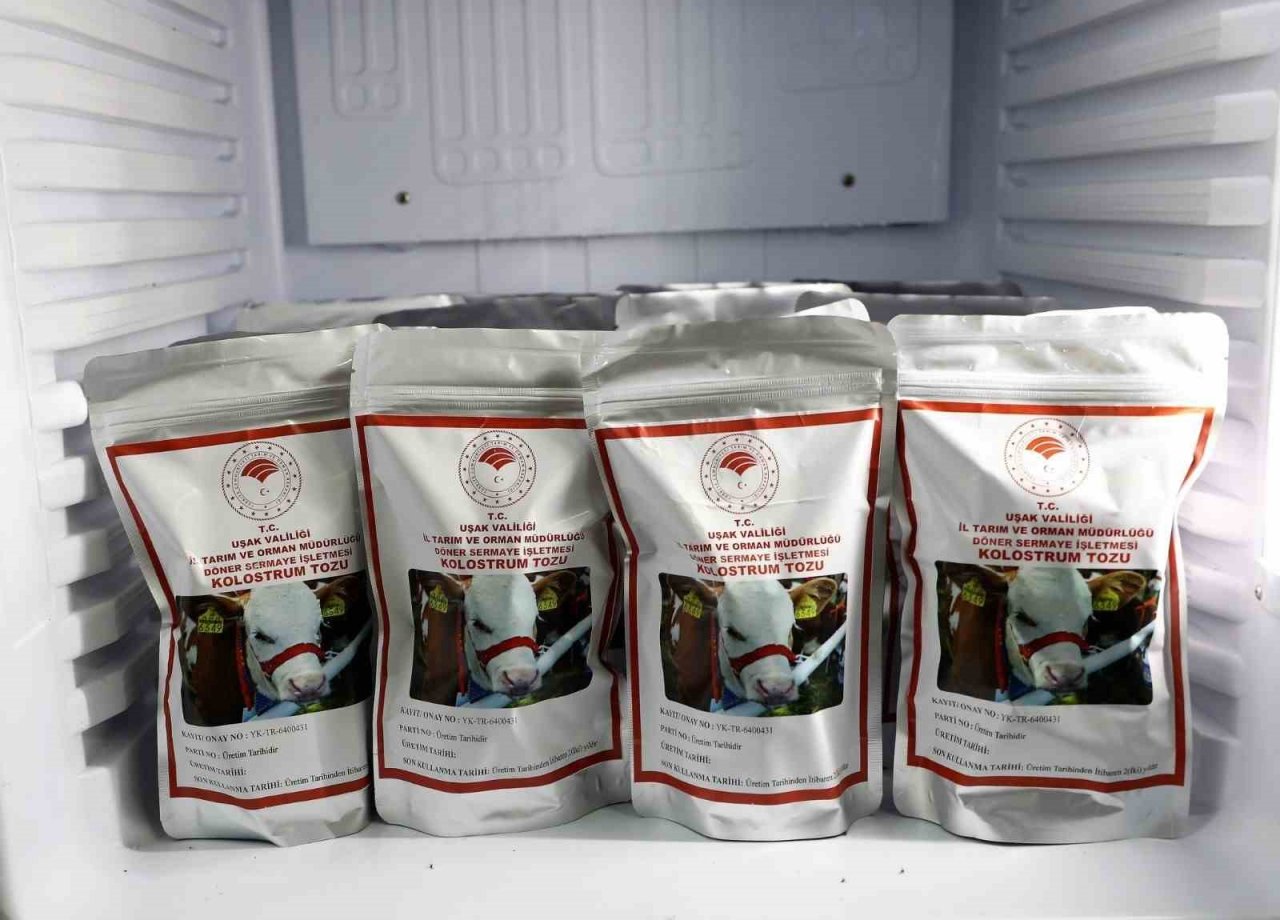 Uşak Tarım ve Orman İl Müdürlüğü ağız sütünün seri üretimine başladı