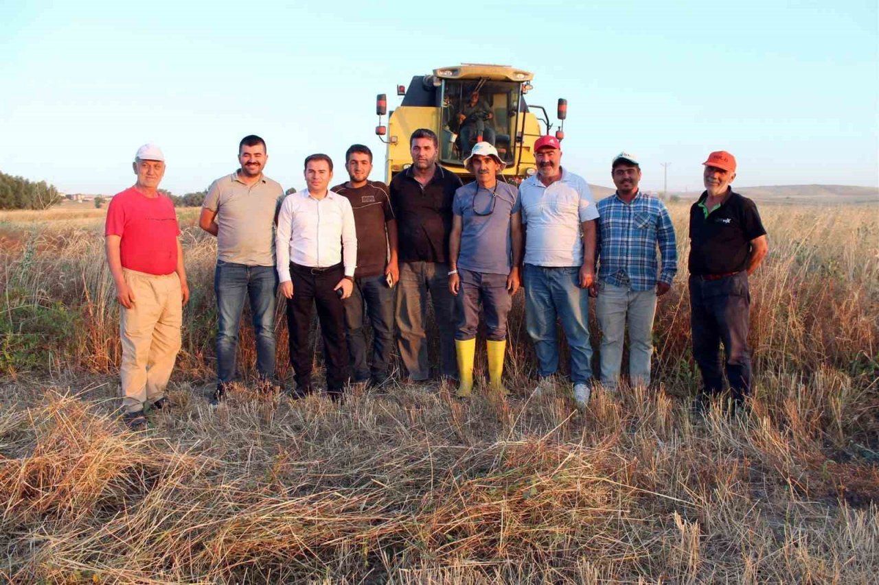İlk defa ekildi, beklenenin üzerinde verim alındı