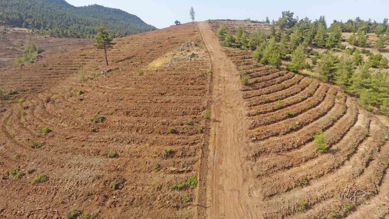 Yeşil Vatan toprakları nakış nakış işleniyor