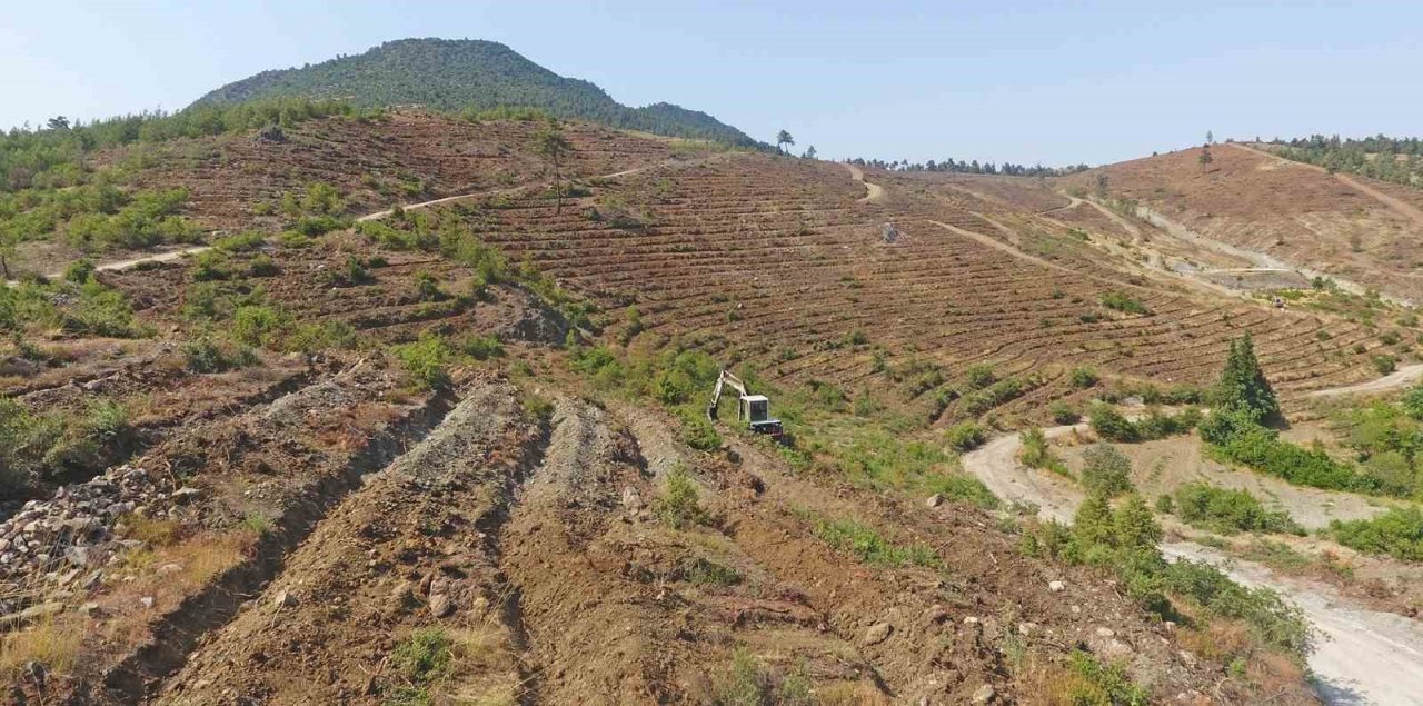 Yeşil Vatan toprakları nakış nakış işleniyor