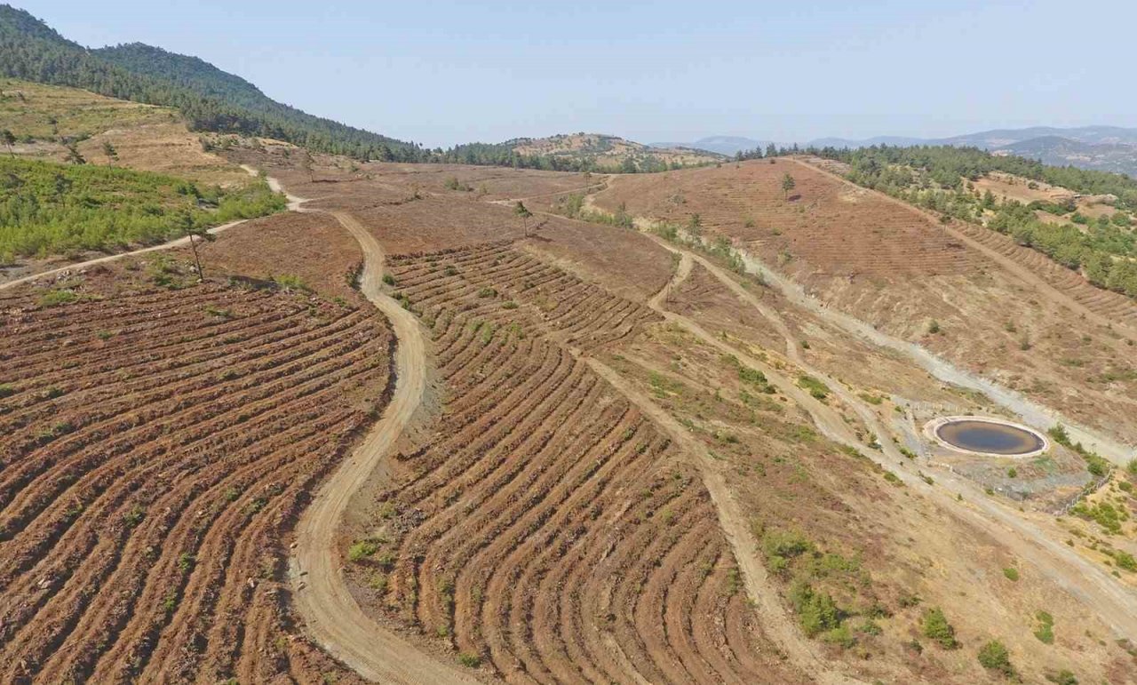 Yeşil Vatan toprakları nakış nakış işleniyor
