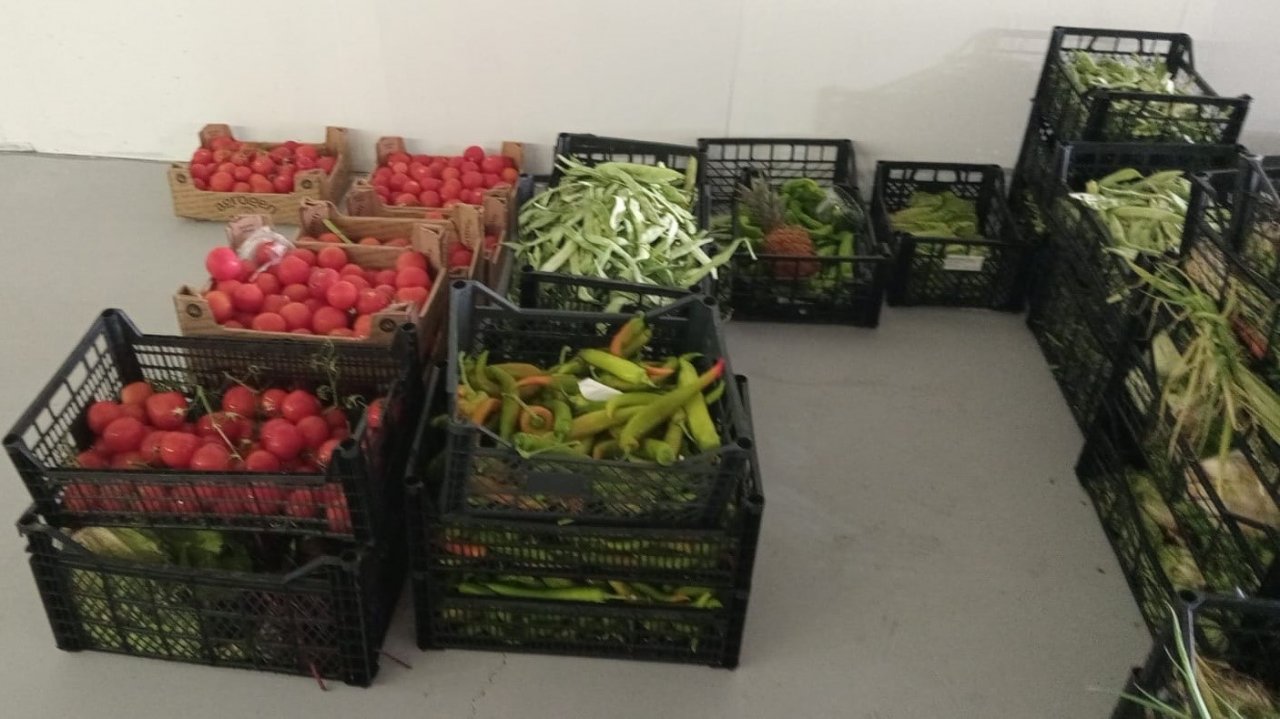 Bodrum Belediyesi’nin gıda bankacılığı çalışmaları sürüyor