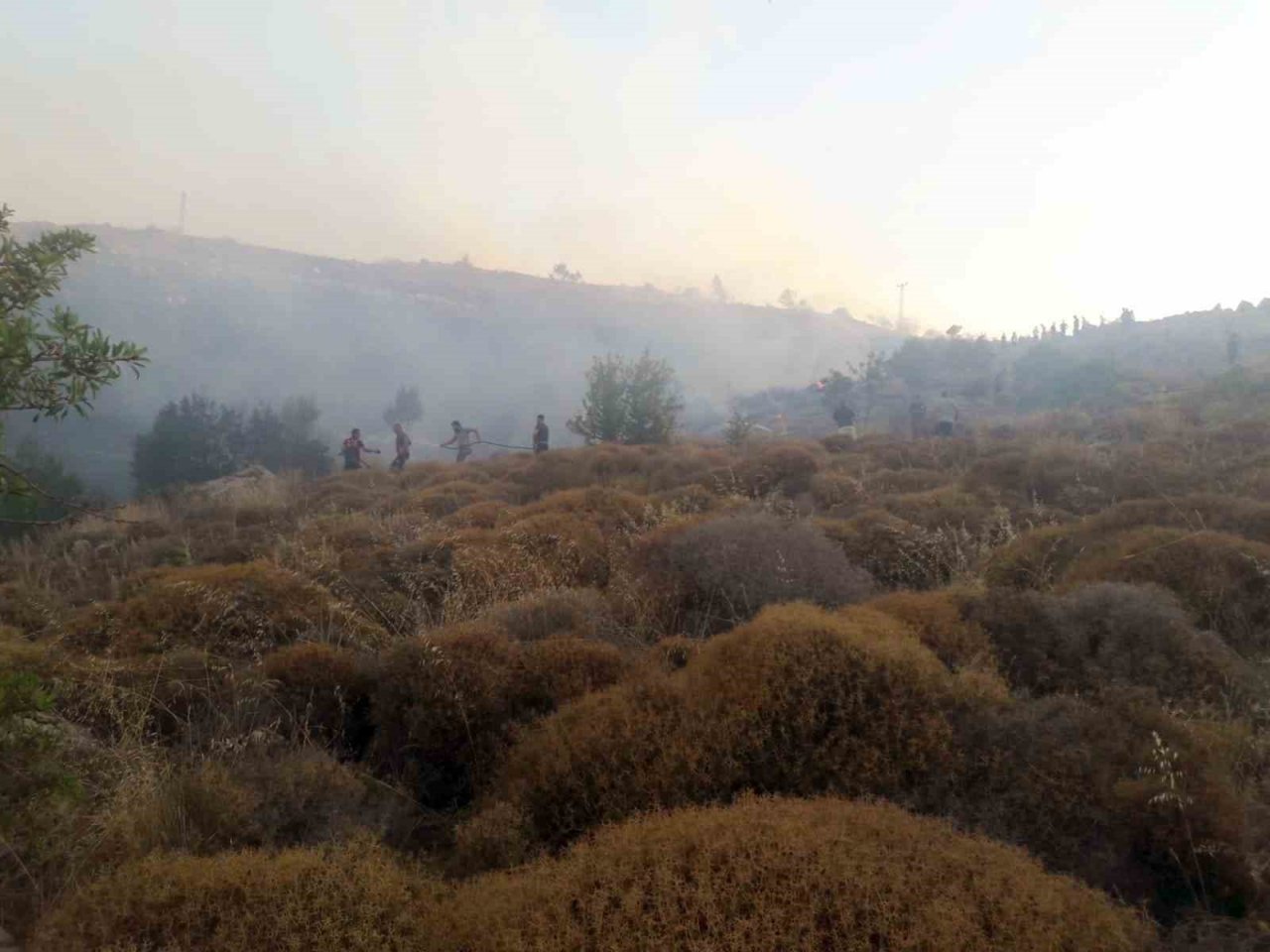Bodrum Türkbükü yangını kontrol altına alındı