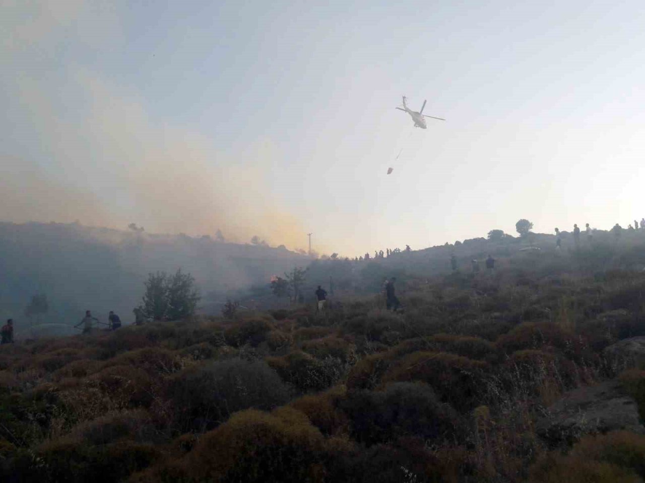 Bodrum Türkbükü yangını kontrol altına alındı