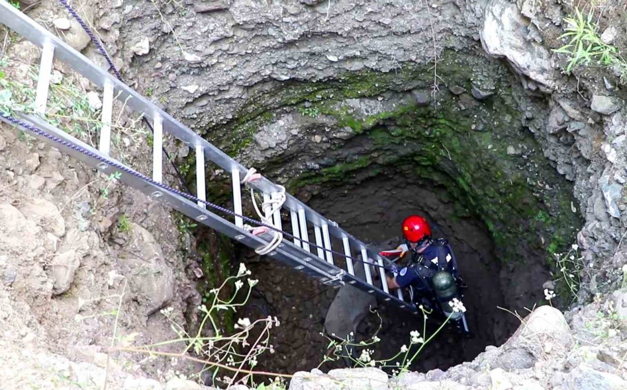 Anne domuz 5 saatlik operasyonla kuyudan çıkarıldı