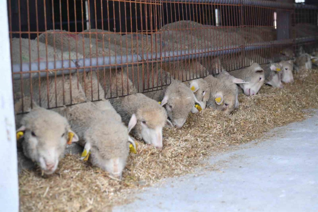 Büyükşehir’den Kepsut’un potansiyelini öne çıkaran yatırımlar