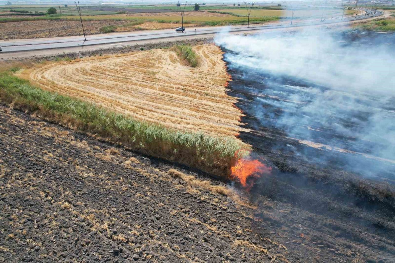 Kahramanmaraş’ta anız yangını korkuttu