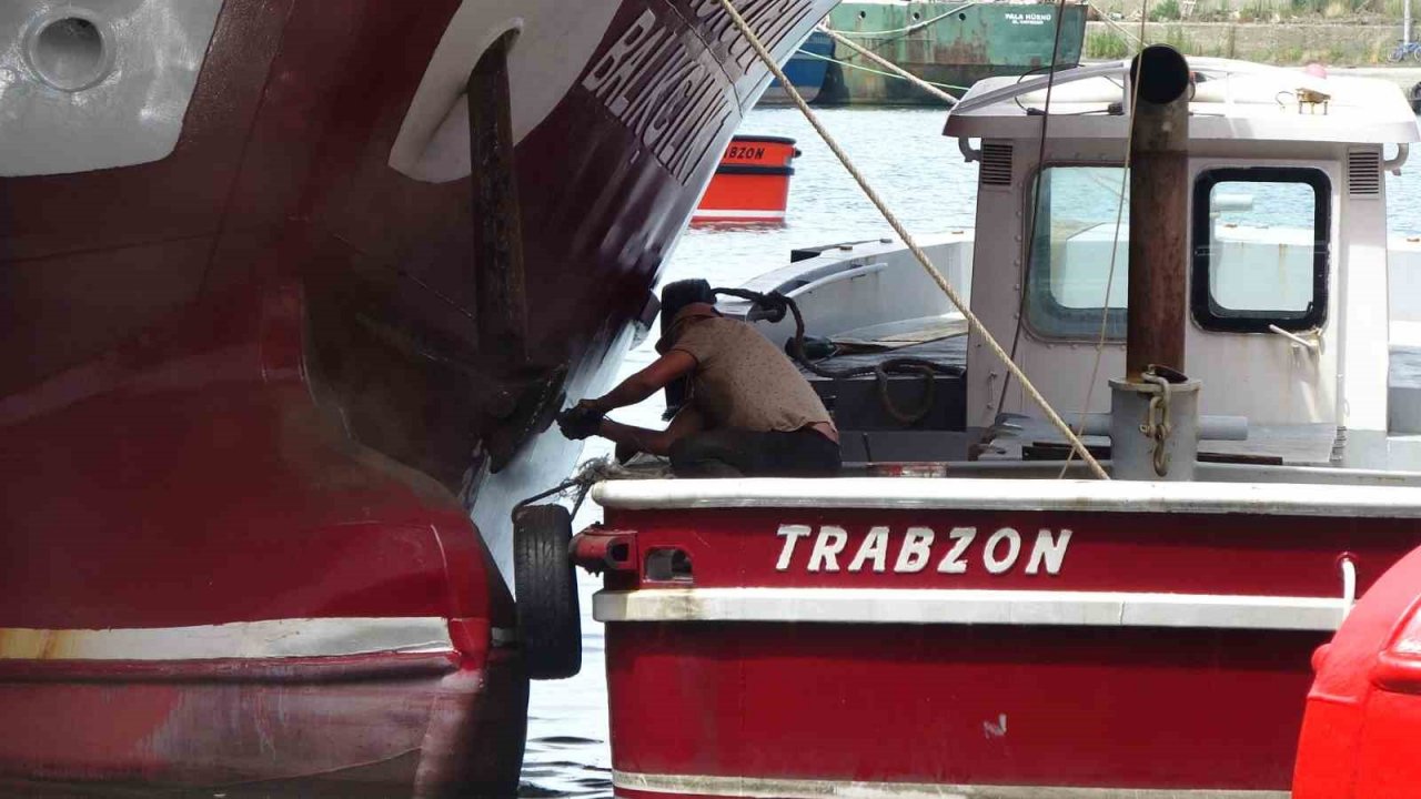 Denizlerde balık avı yasağı 1 ay sonra bitiyor